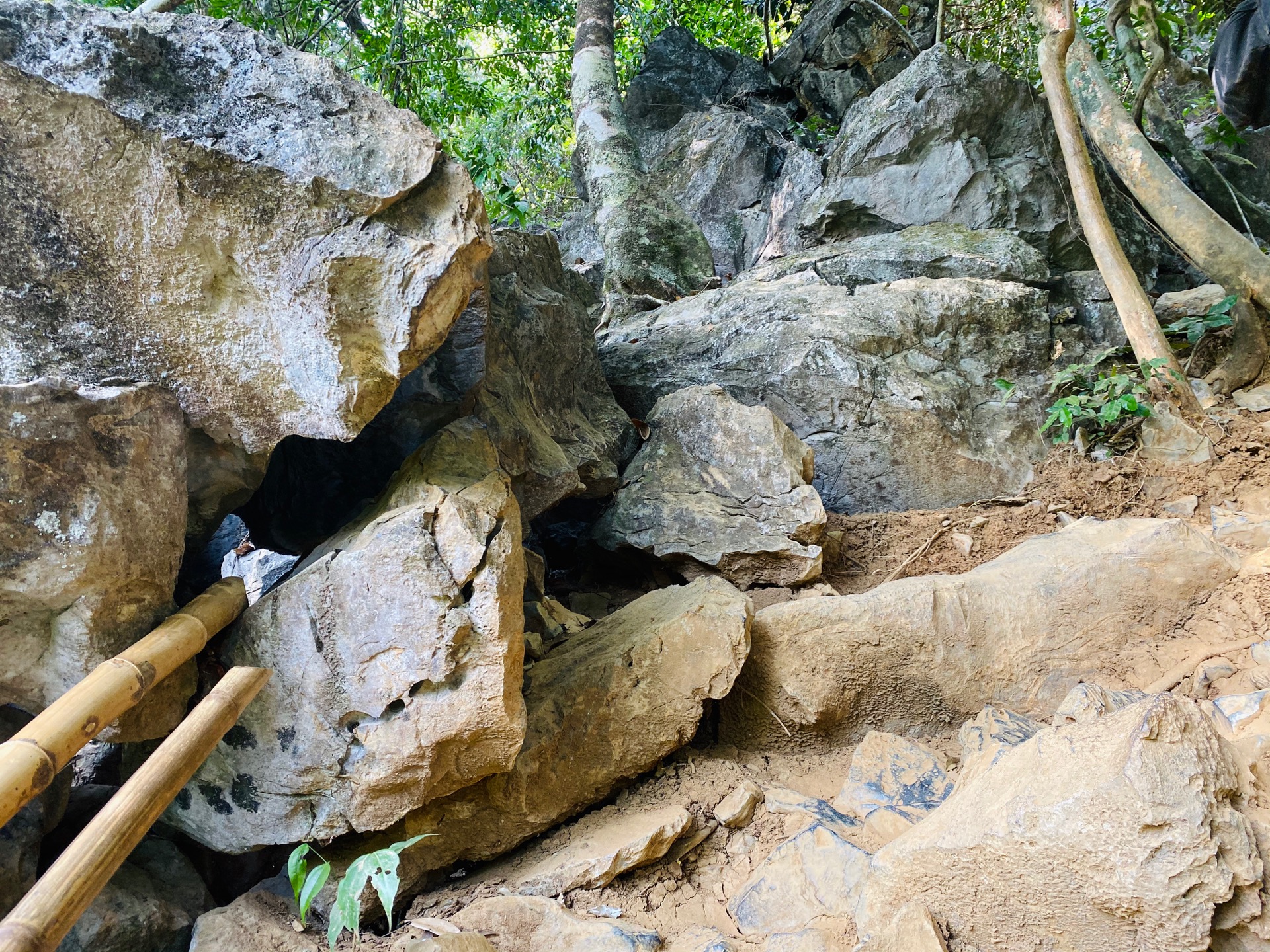 Hope you brought good hiking shoes.