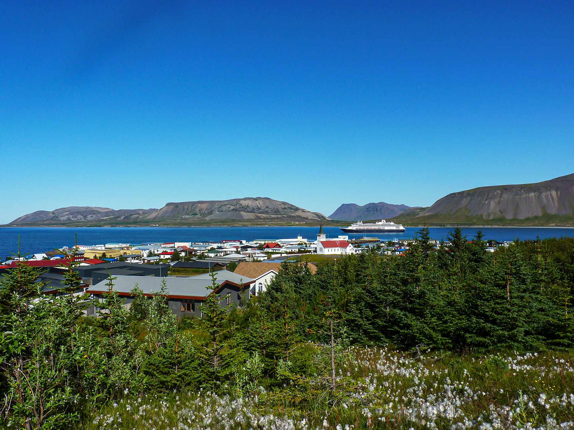 P1260699.jpg