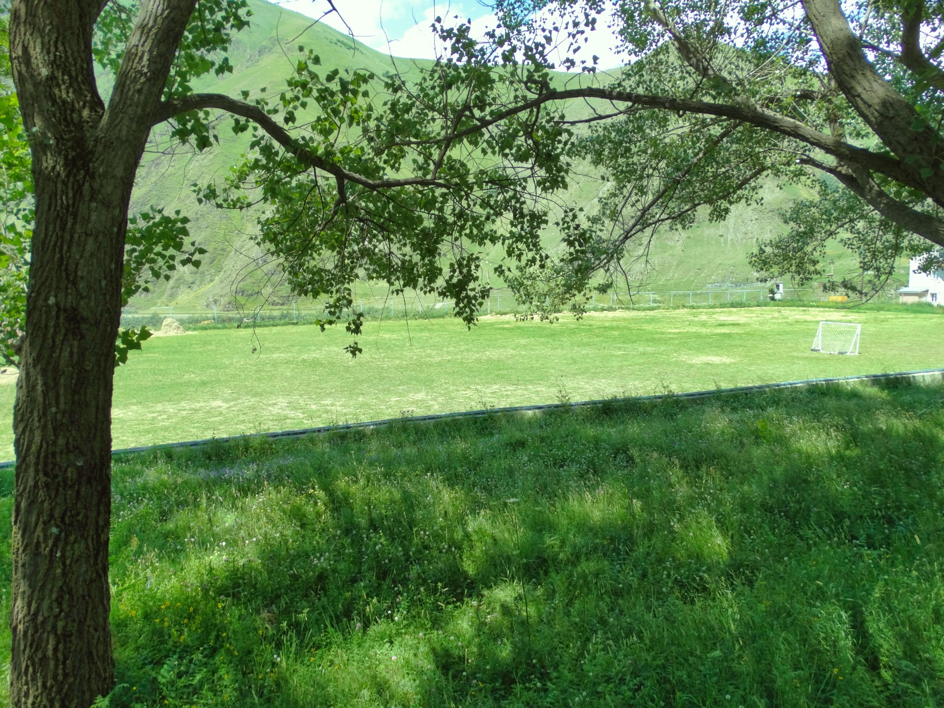 DSC00578.jpg