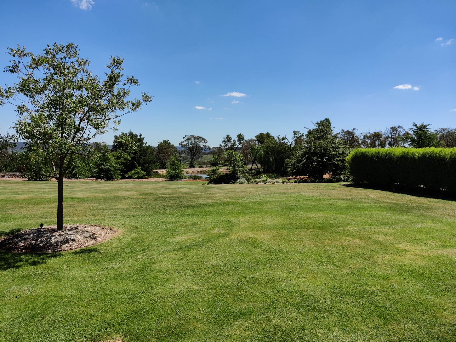 Rhyanna Park: Chatsbury, AUSTRALIA.jpg