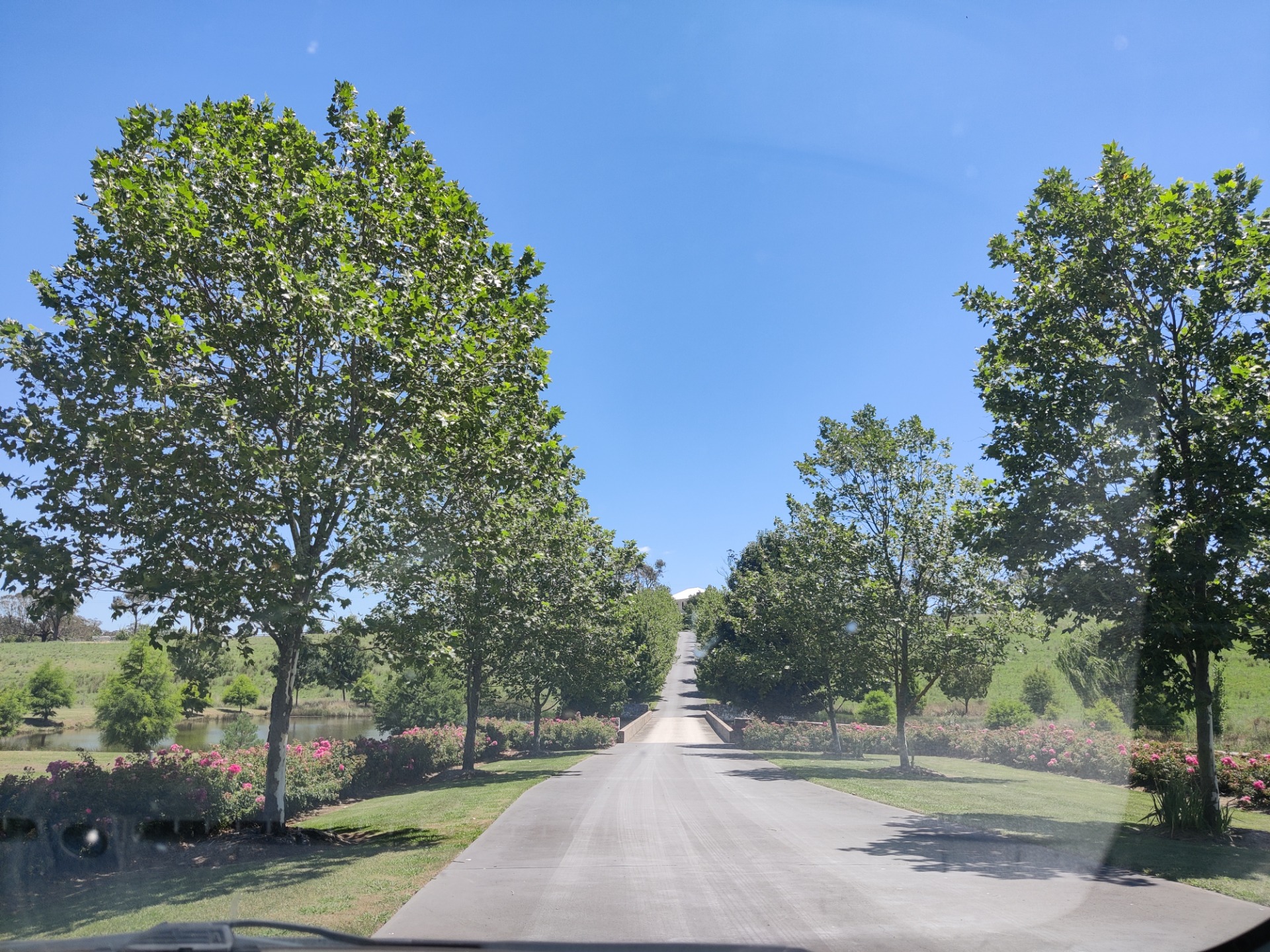 Rhyanna Park: Chatsbury, AUSTRALIA.jpg