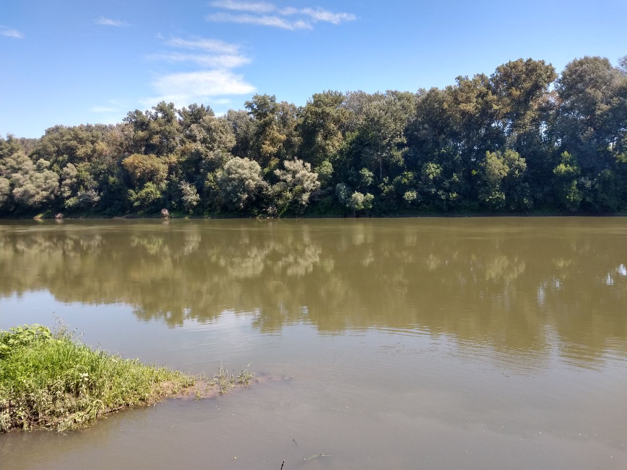 Tisza river