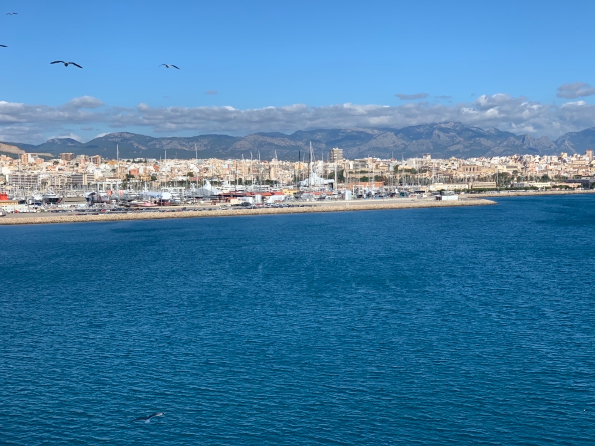 #palma de Mallorca seen from our balcony photo by me