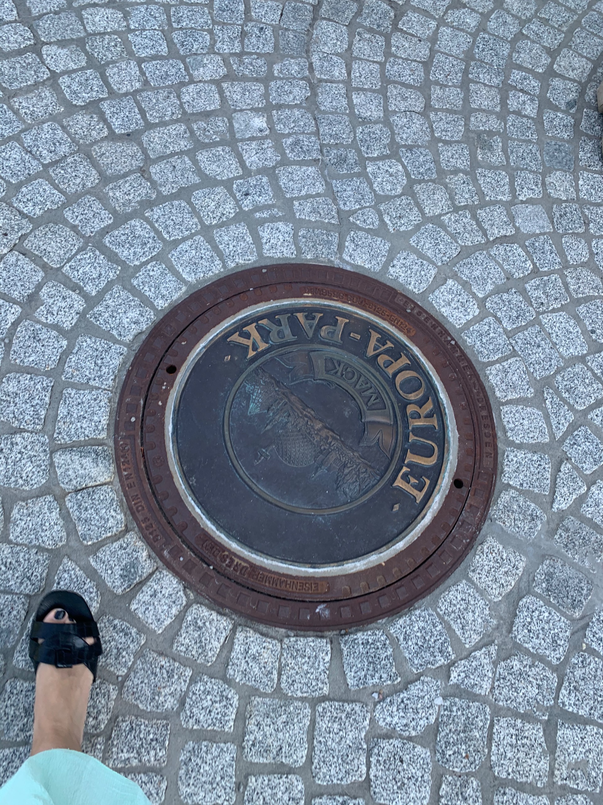 The MACK coins are everywhere