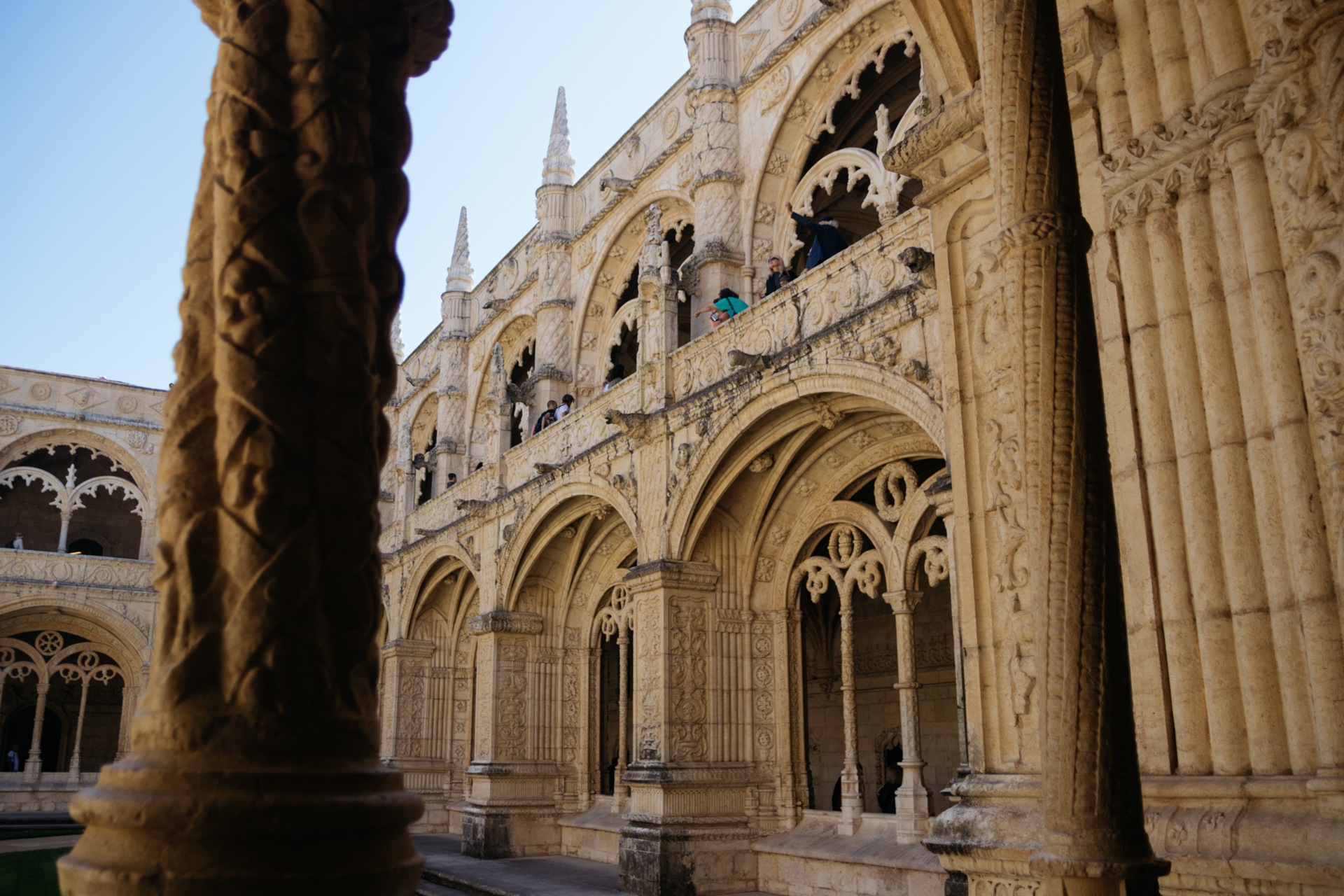 © 2019 @capitanonema. All rights reserved.