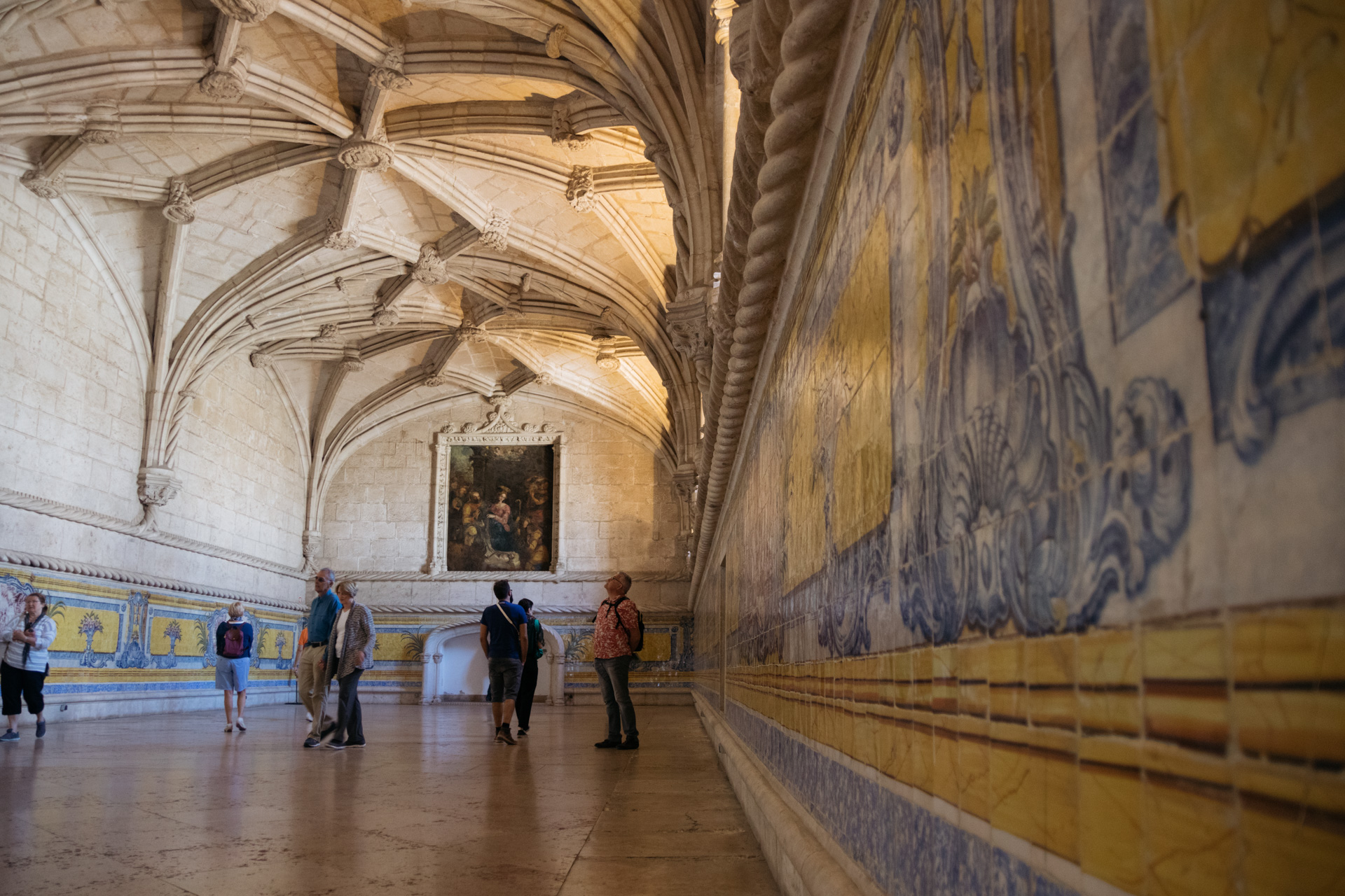 © 2019 @capitanonema. All rights reserved.