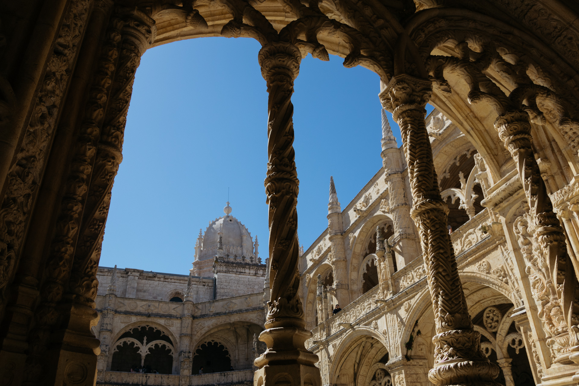 © 2019 @capitanonema. All rights reserved.