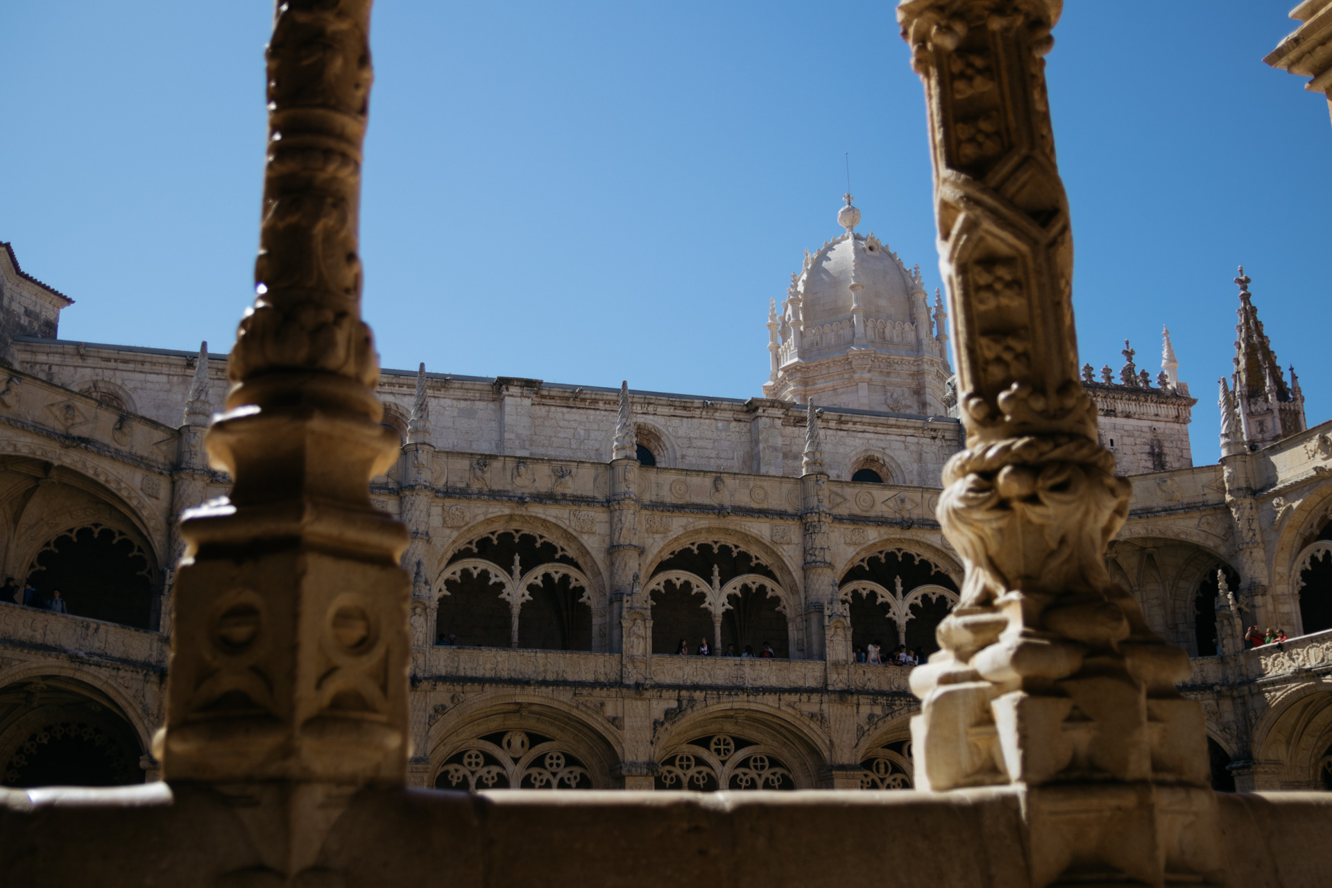 © 2019 @capitanonema. All rights reserved.