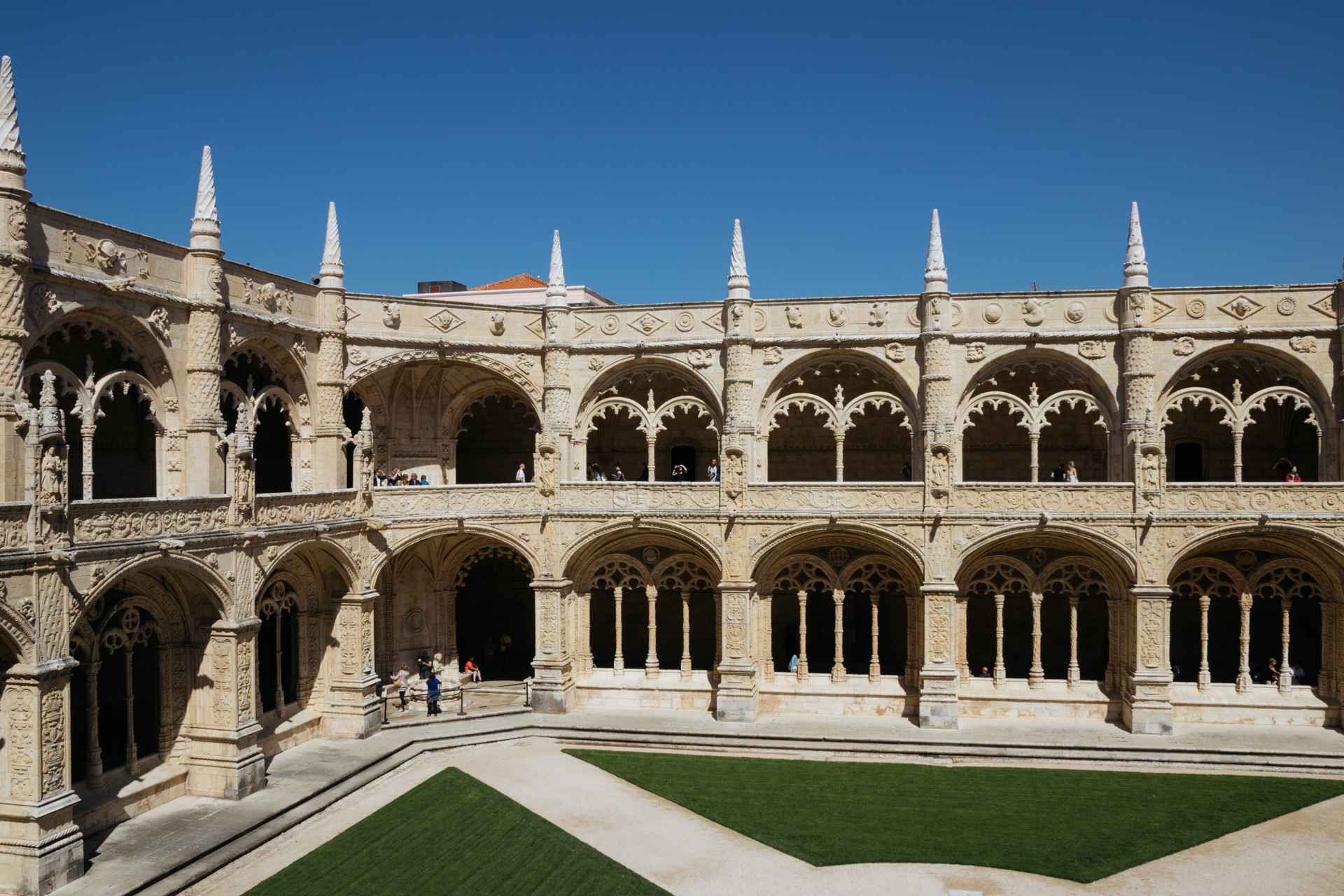 © 2019 @capitanonema. All rights reserved.