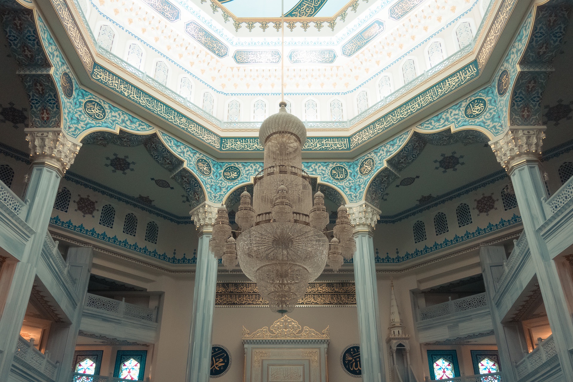 © 2019 @capitanonema. All rights reserved.