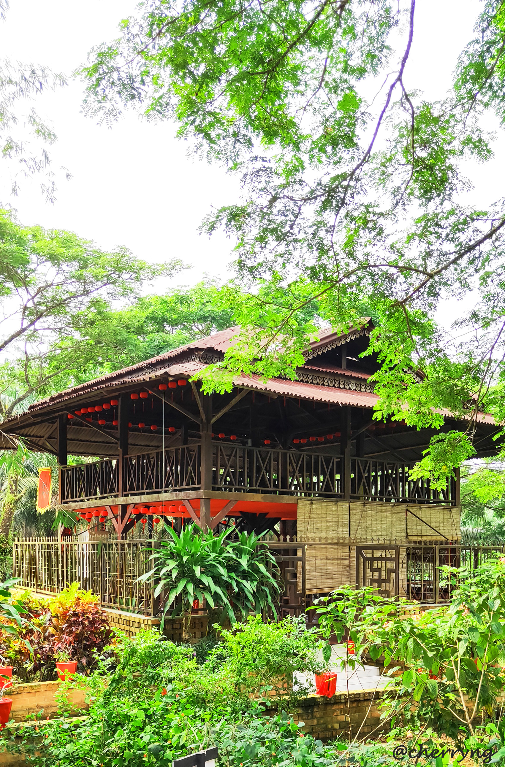 IMG20190420103656 copy.jpg