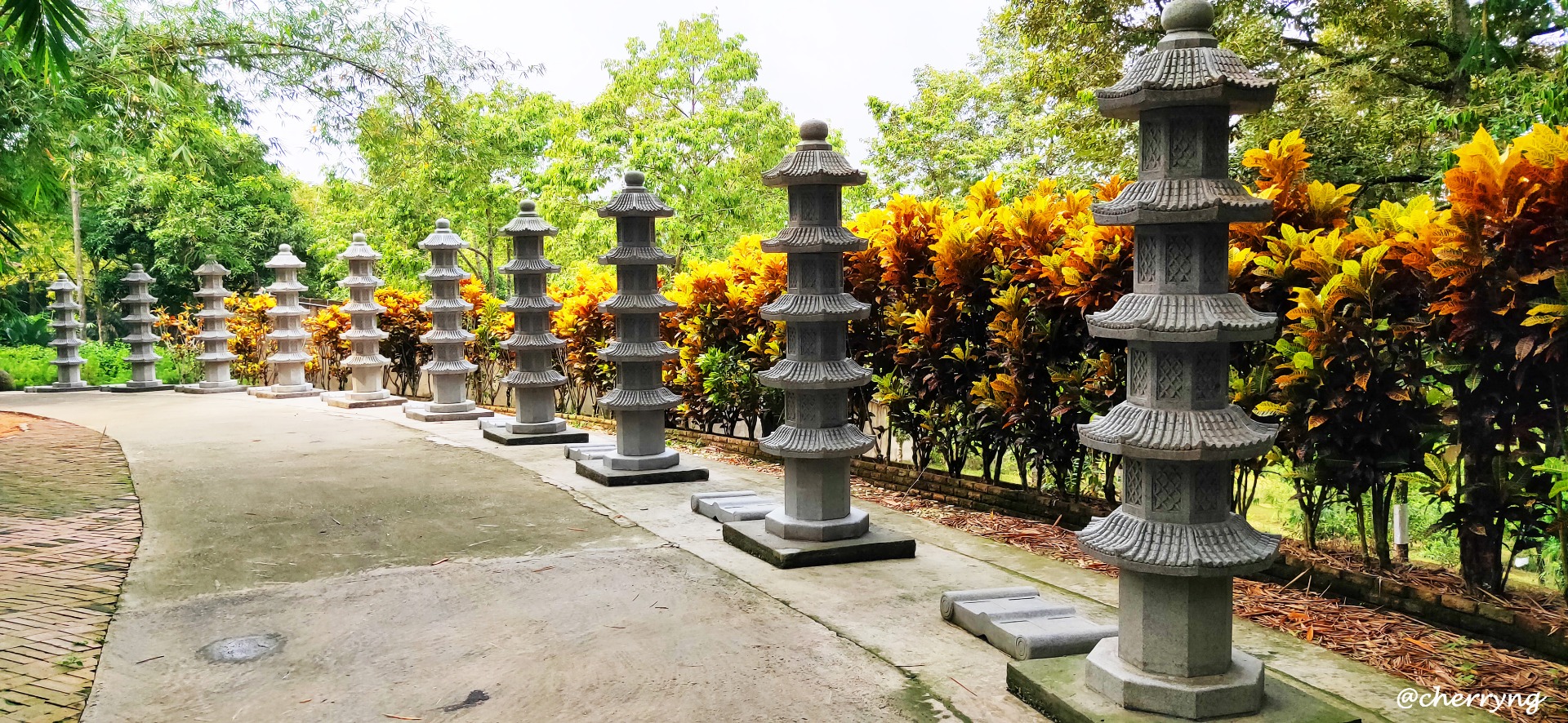 IMG20190420103224 copy.jpg