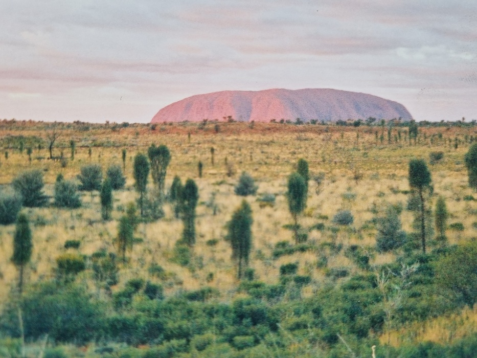 And this is probably my favourite photo of the lot.It feels deeply familiar to me. I must have had it up on my wall or as one of the very first photos inside the envelope where all these physical photos lived. It shows the unexpected variety of colours that can be found in the Australian desert. From the reds to the pinks, the beige to the browns, the dull to the dark green, with an almost always present blue sky hiding behind everything.This part of Australia left a deep mark on my heart. I will love it always.