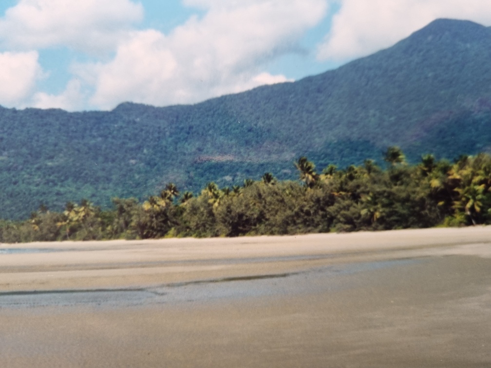 As someone who had grown up 2,500 kilometres south of here (yes, Australia is THAT big... and bigger!), I had never seen palm trees in person before. I was wild to think that here I was, seeing all these new things, right alongside my darling mum. These are cherished memories indeed.