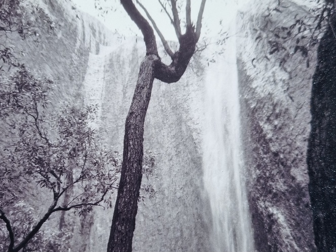 The day I went out in the rain to get a bunch of photos of the wet rock, I asked to have some of the photos printed in black and white. (This was before we had smart phones or digital cameras and I was still using rolls of film that had to be taken to a store to get developed!) It looks pretty rad, hey?