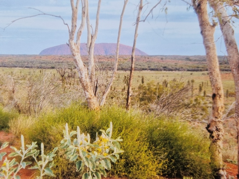 Uluru again, but from a different location. I’m not sure where I took this photo, but it was probably from within the National Park, as the resort town where we all lived was a bit too far away to have this kind of view unless you had access to a spot on private land the resort company had cleverly captured.