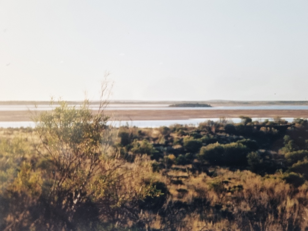 This must be Lake Armidaus. I don’t remember it being particularly breathtaking, but I appreciate the unexpectedness of a LAKE in a DESERT. Also, there are heaps of plants in this one - another thing that surprised me about the desert. I thought, like most people do, that the Australian desert was just ”sand... as far as the eye could see”. But no, it’s SO much more diverse and interesting than that.
