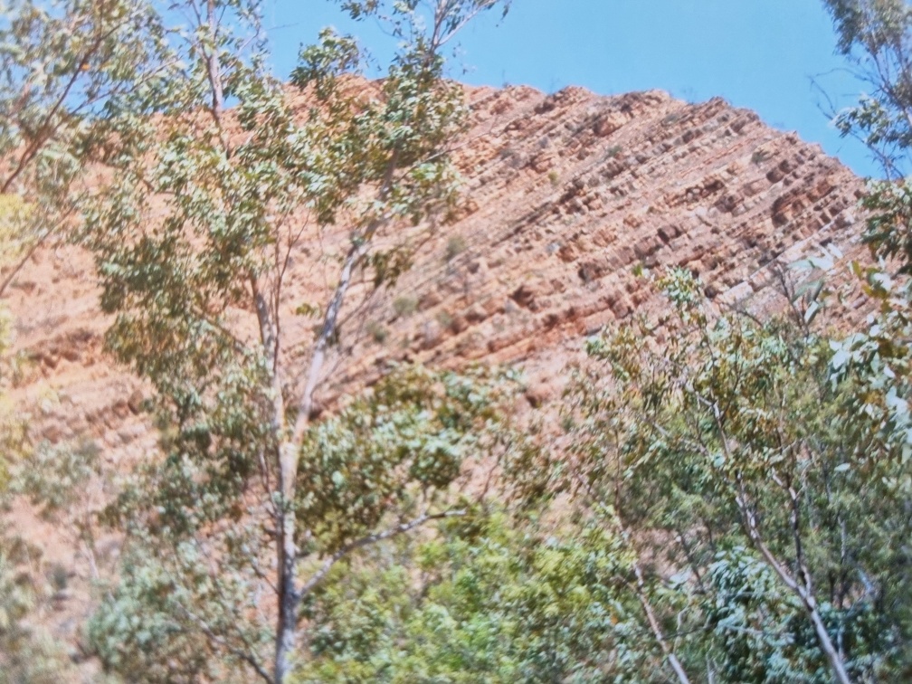 Again, I THINK this is a different aspect of Mt Conner. But I can’t be sure and I have no written record on the actual, physical photos. What I CAN tell you is that all the photos in this post were taken in Central Australia, in the Northern Territory, within a day’s drive of Alice Springs.