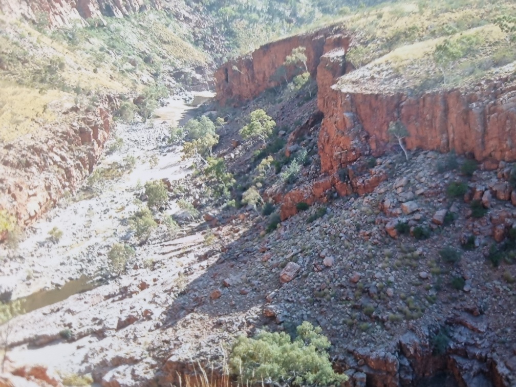 This area is called Serpentine Gorge (serpent = snake). According to Google’s AI overview, it’s part of the Larapinta Walking Trail (which is over 200km long!) and has this cool crystal embedded in its walls that the water had to cut through over a long period of time called Heavitree Quartzine.