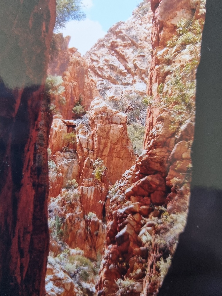 This is Stanley Chasm. It’s in the West McDonnell National Park, known to locals as ”the west macs” (or Tjortitja in the local Aboriginal language). It’s one of a big handful of spots you can visit on a drive along the desert road that heads through this National Park, and it’s well worth a visit if you’re in the area.