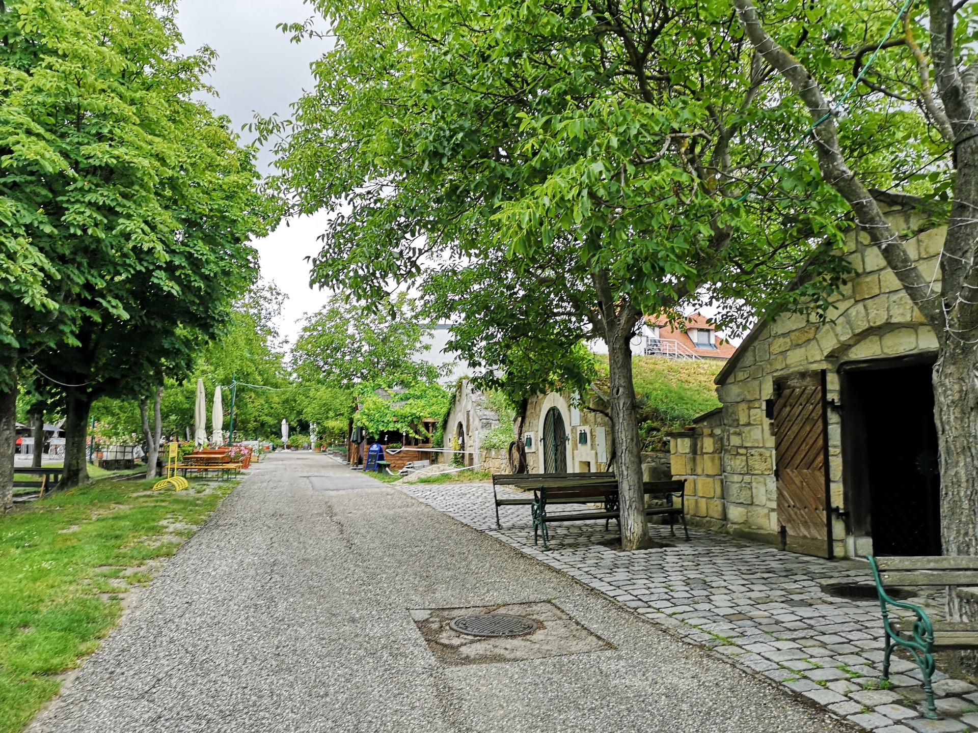 The history of settlement in Purbach can be traced even further to the deep history than Vienna. Photo by Alis Monte [CC BY-SA 4.0], via Connecting the Dots