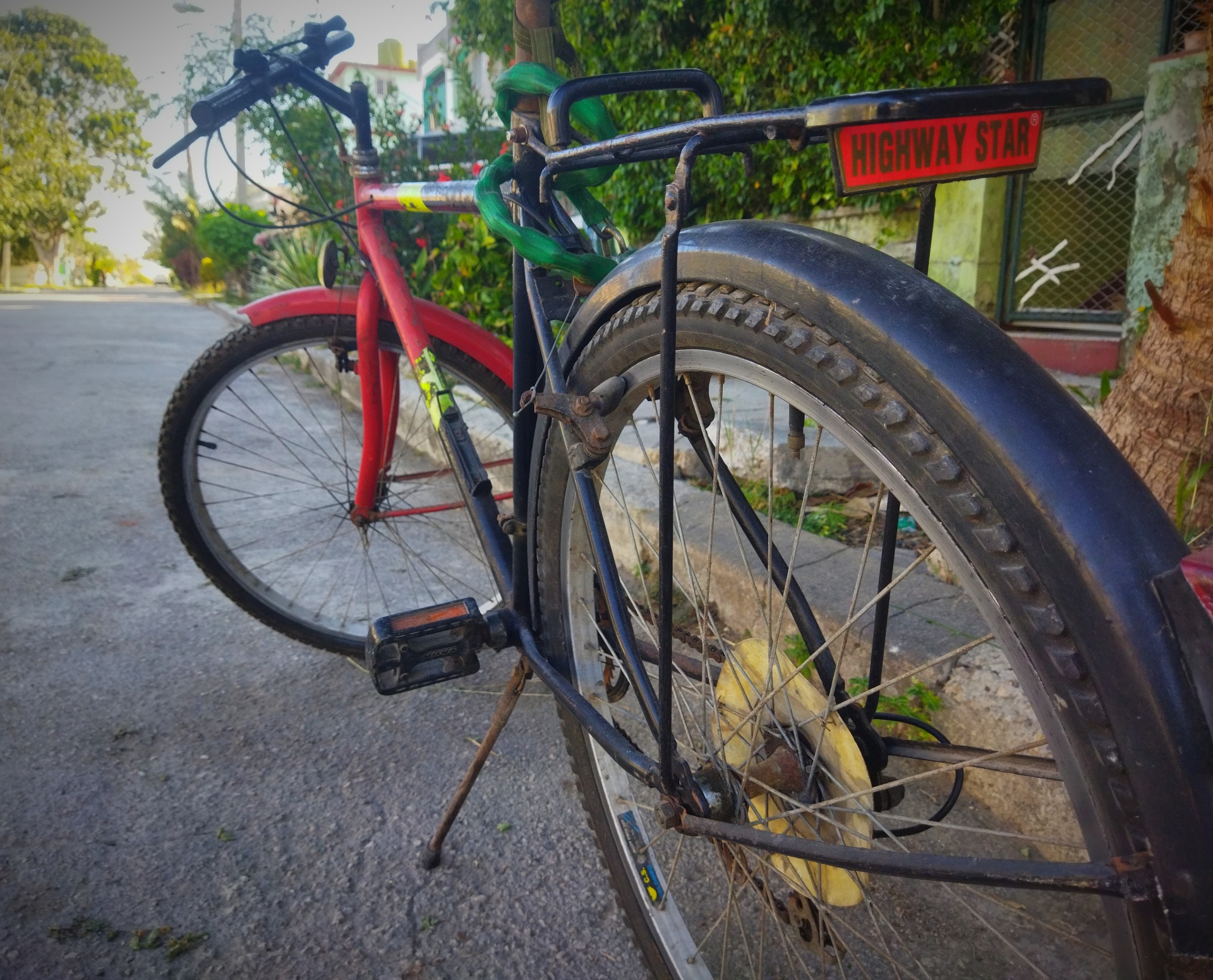 The Old Italian Lady