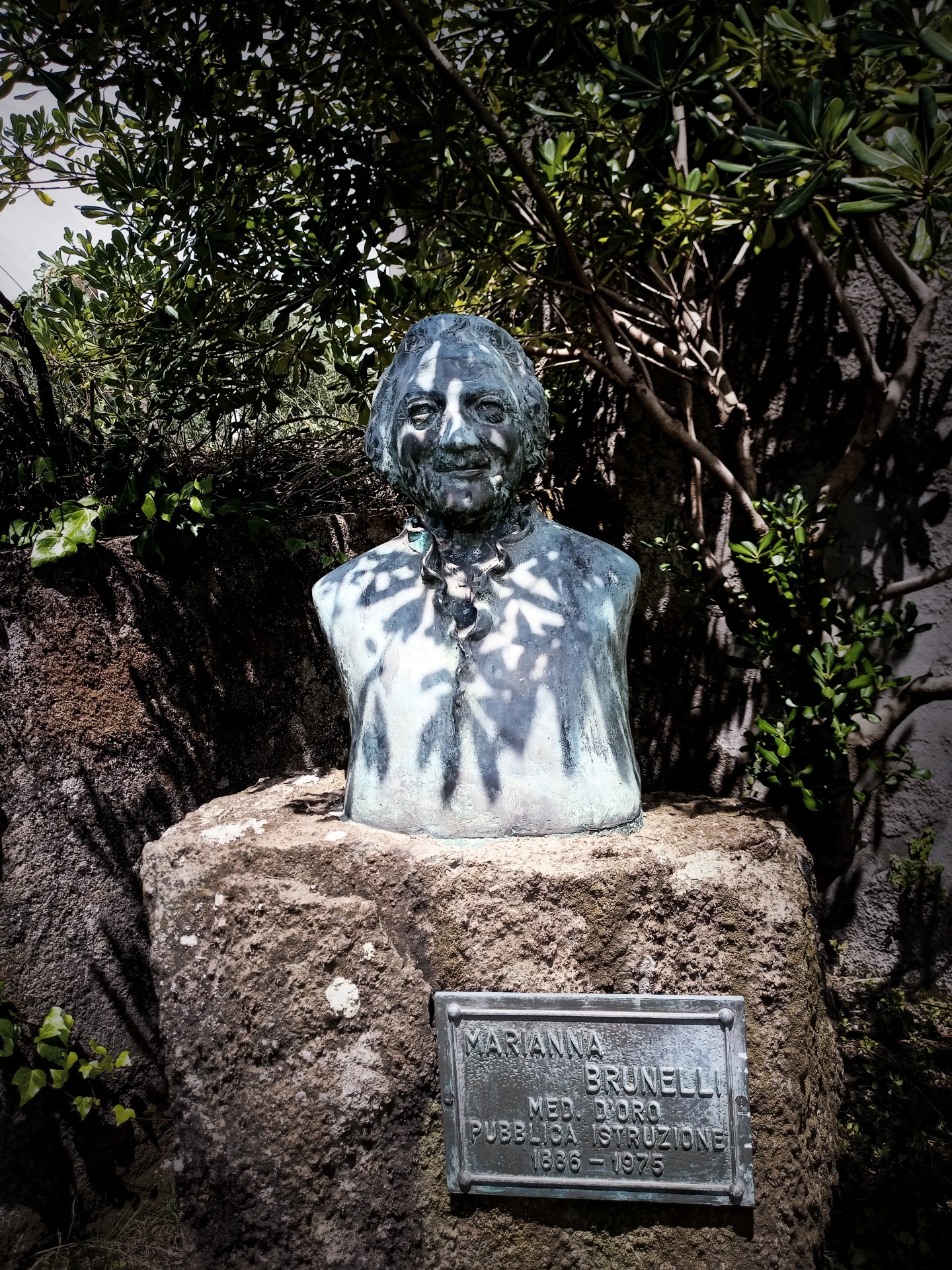 Marianna Brunelli, Gold Medal for Public Instruction