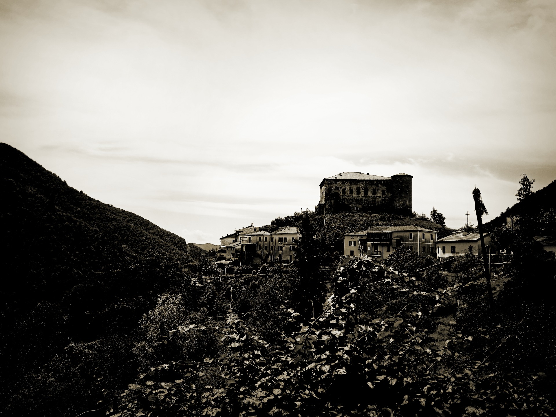 Calice al Carnoviglio - Monochromes Version