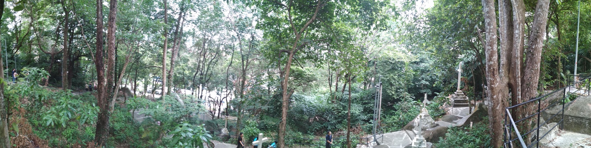 Panoramic view from the hill top