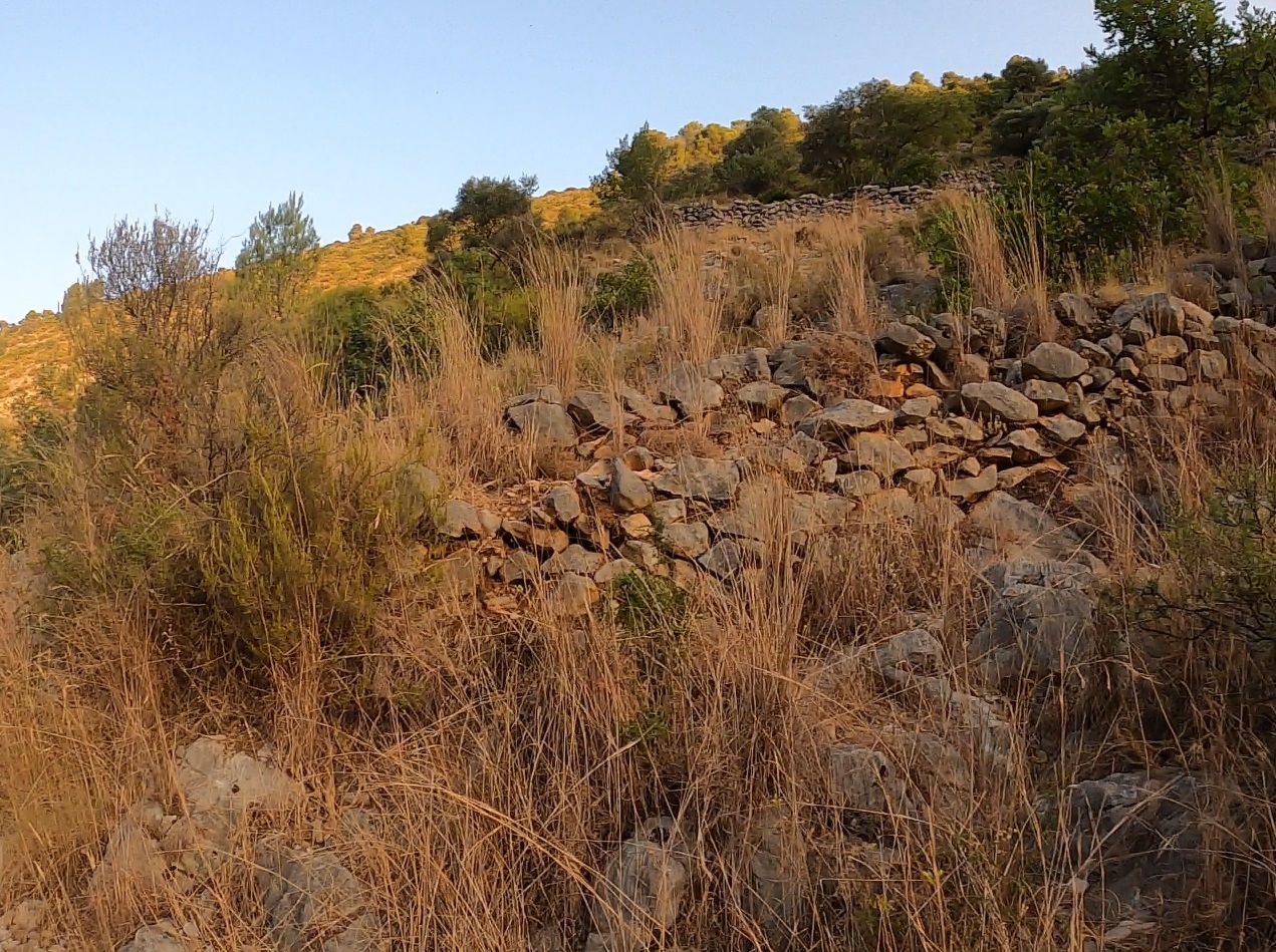 ”Piedra seca” technique, farmlands on the slopes of the mountain, which are sustained thanks to those accumulated stones, sticking together without any type of mortar, and which have lasted for centuries and were built by the Moorish who occupied these lands before their expelling.