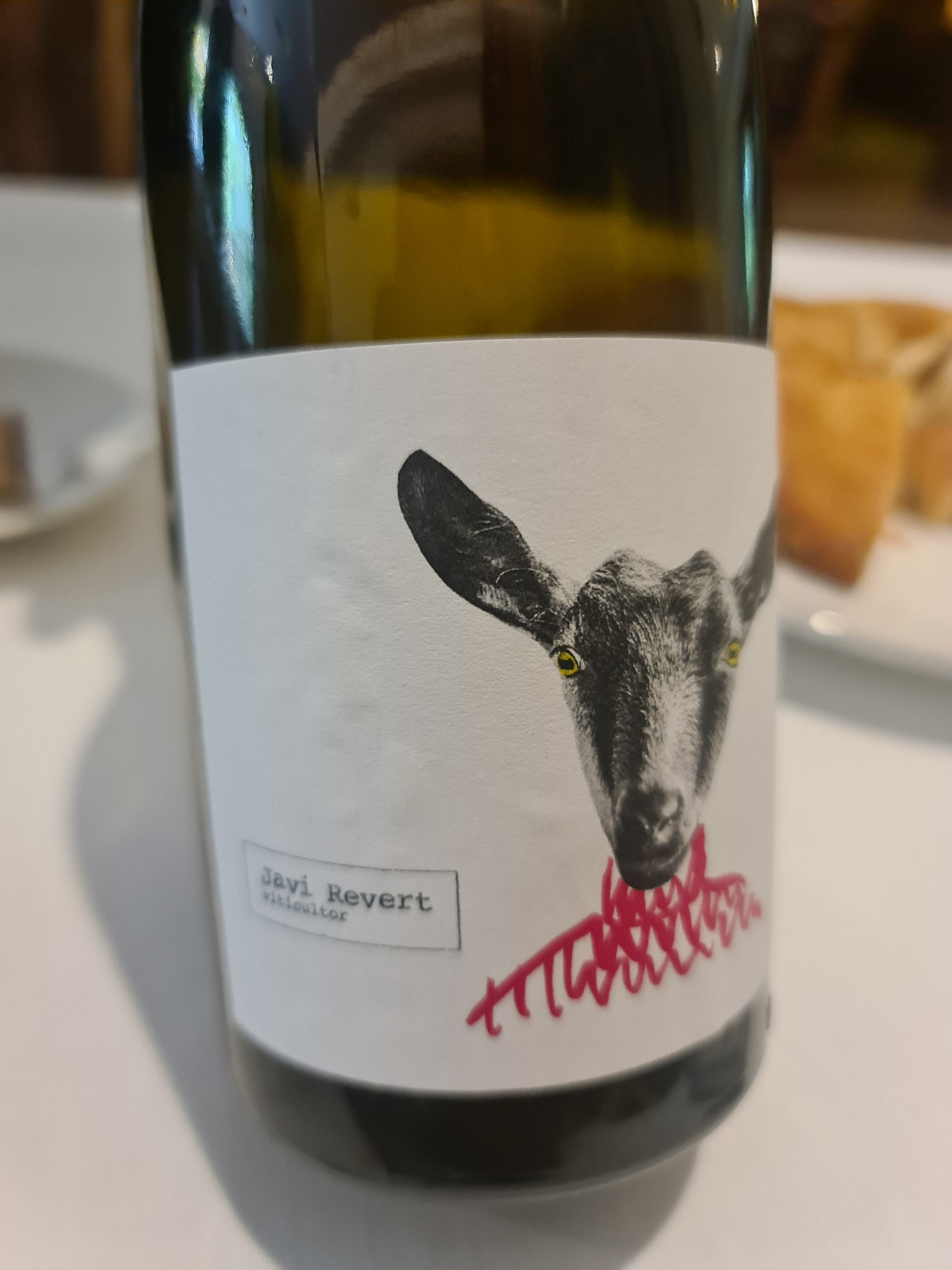 Glass of Micalet white wine, special batch aged under a veil of flor, by Javi Revert winemaker - Enchanting Parker Guide wine tasters since 2018, year in wich it got rated with 94 points - Javier works with the local grape varieties Tortosí, Trepadell, Malvasía, Merseguera and Verdi - Vineyard is particularly special, as it was planted by Javier’s own great-grandfather in 1948 (glass on the house) (2).