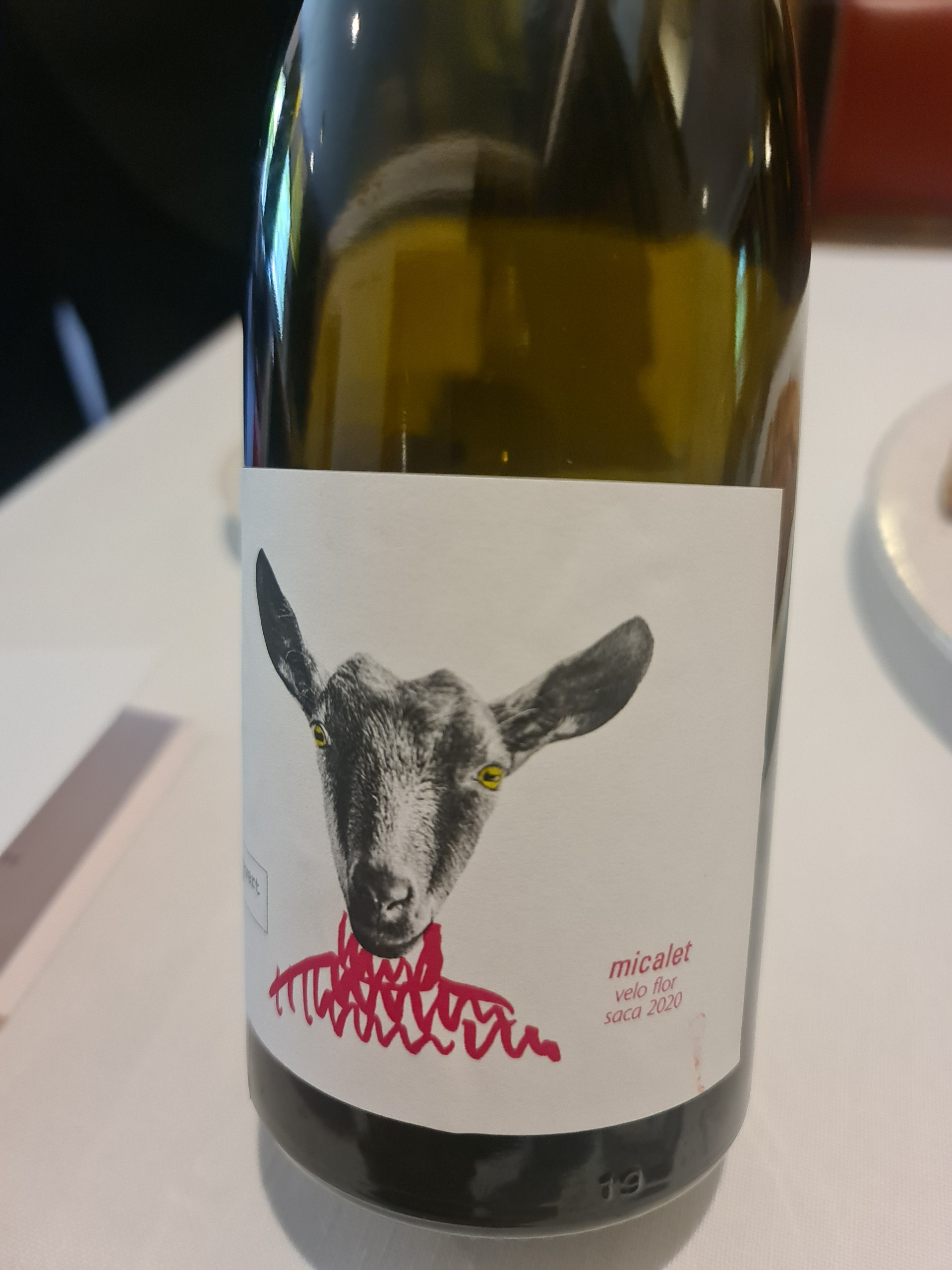 Glass of Micalet white wine, special batch aged under a veil of flor, by Javi Revert winemaker - Enchanting Parker Guide wine tasters since 2018, year in wich it got rated with 94 points - Javier works with the local grape varieties Tortosí, Trepadell, Malvasía, Merseguera and Verdi - Vineyard is particularly special, as it was planted by Javier’s own great-grandfather in 1948 (glass on the house) (1).