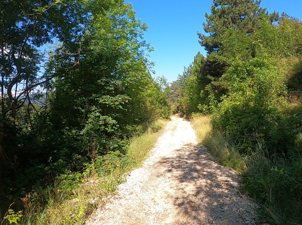Part of the dry path on a sunny way back.