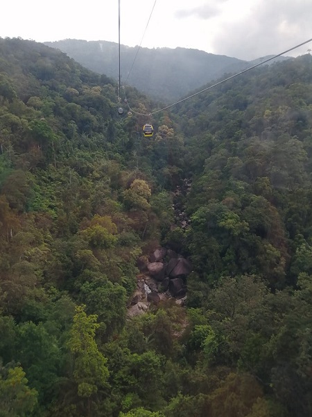 The ride is about a half-hour, but it goes by quickly because of all the fantastic (and undisturbed) scenery below