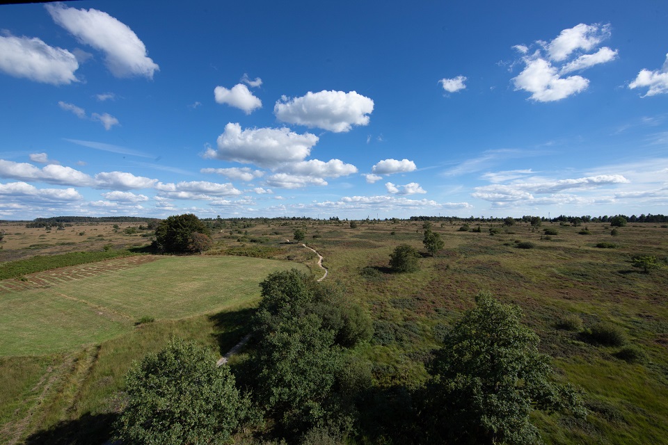 The trail visible from the tower!
