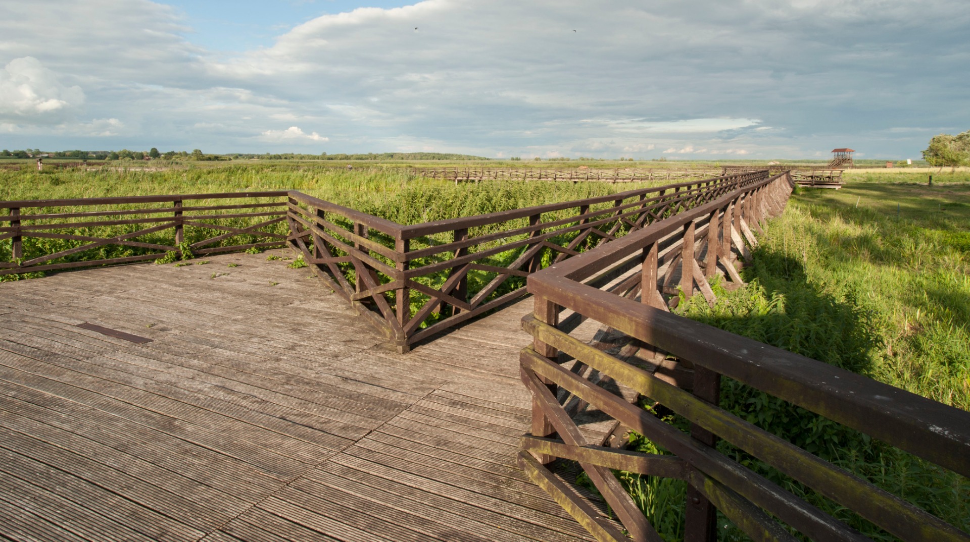 Footbridge across the river