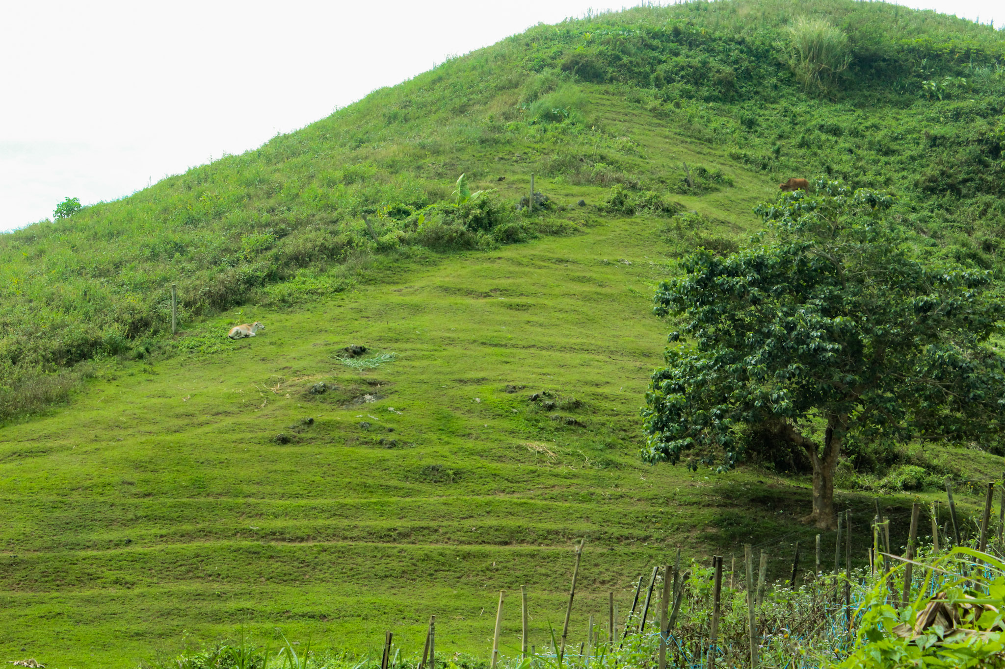 I love this hill, even more beautiful in real life