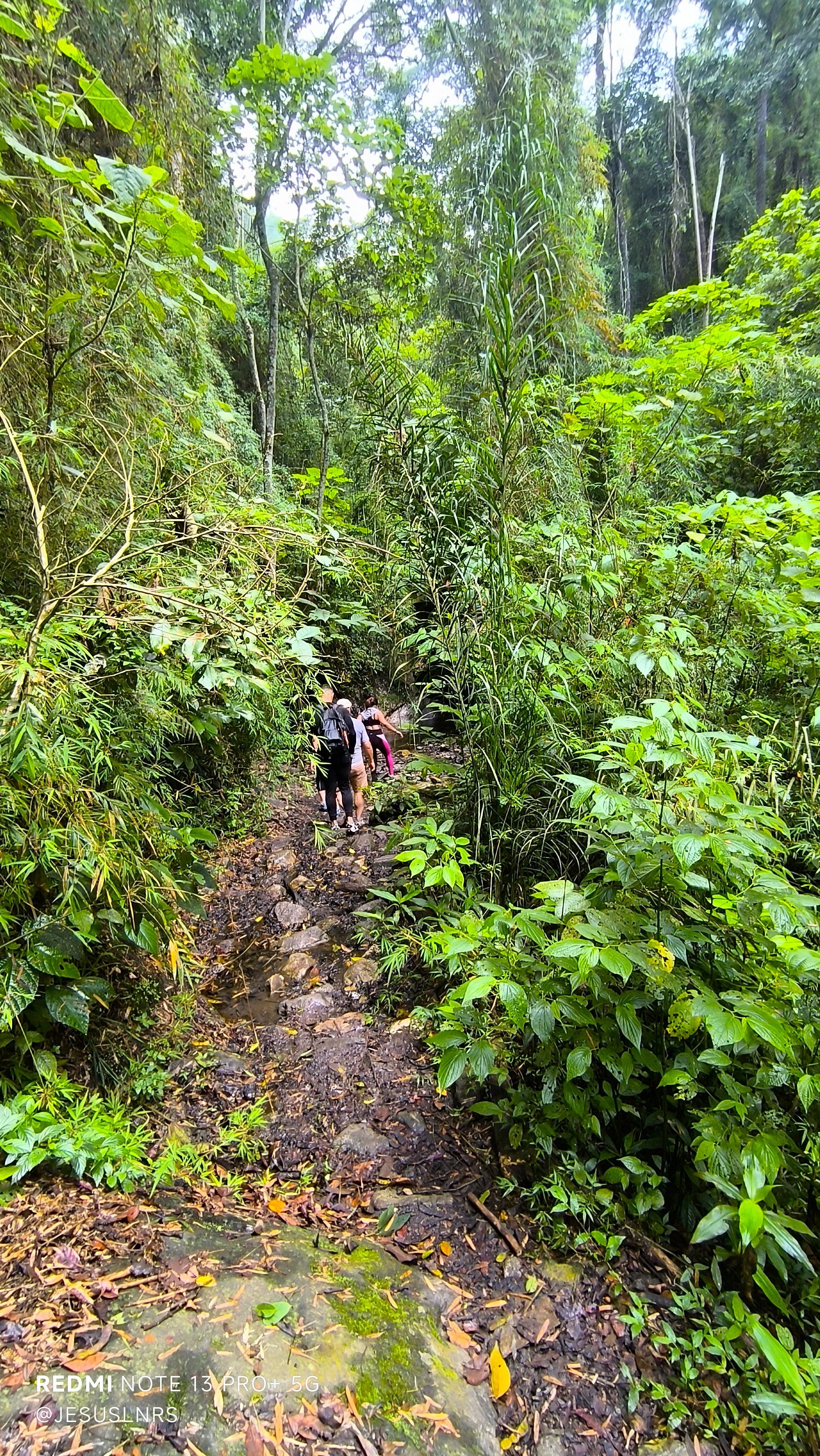 IMG_20250608_100306.jpg