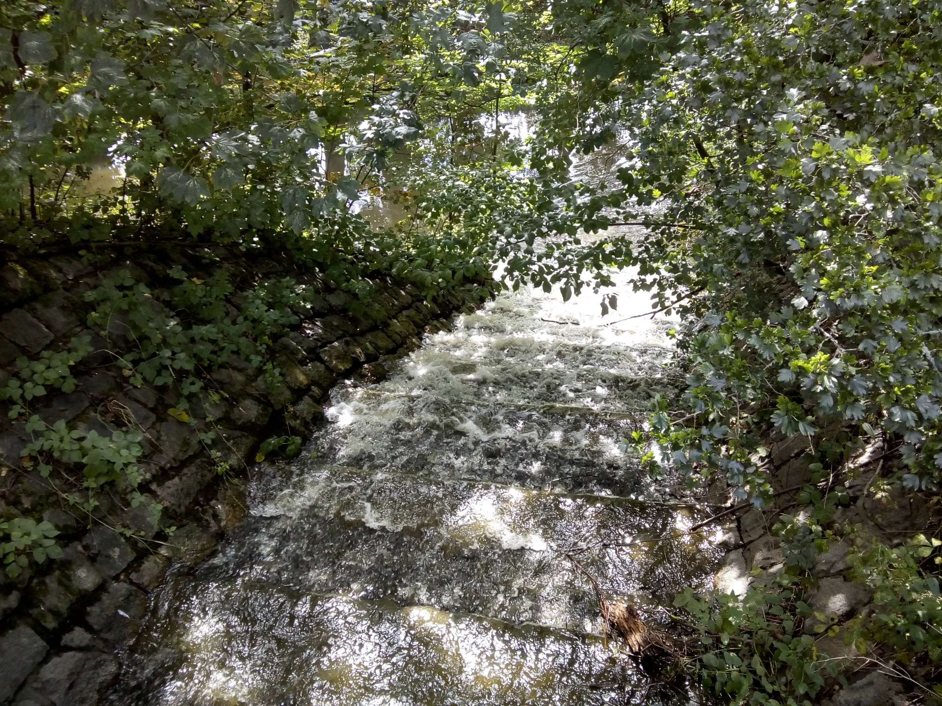 IMG_20200805_151600.jpg