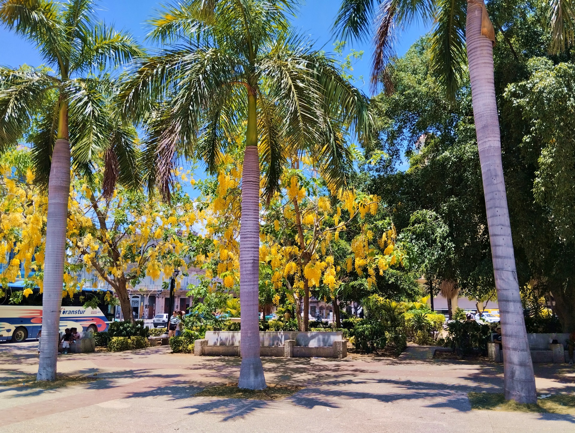 IMG_20250807_133726.jpg
