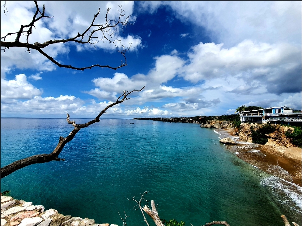 Screenshot_20201127-094832_Photo Editor.jpg