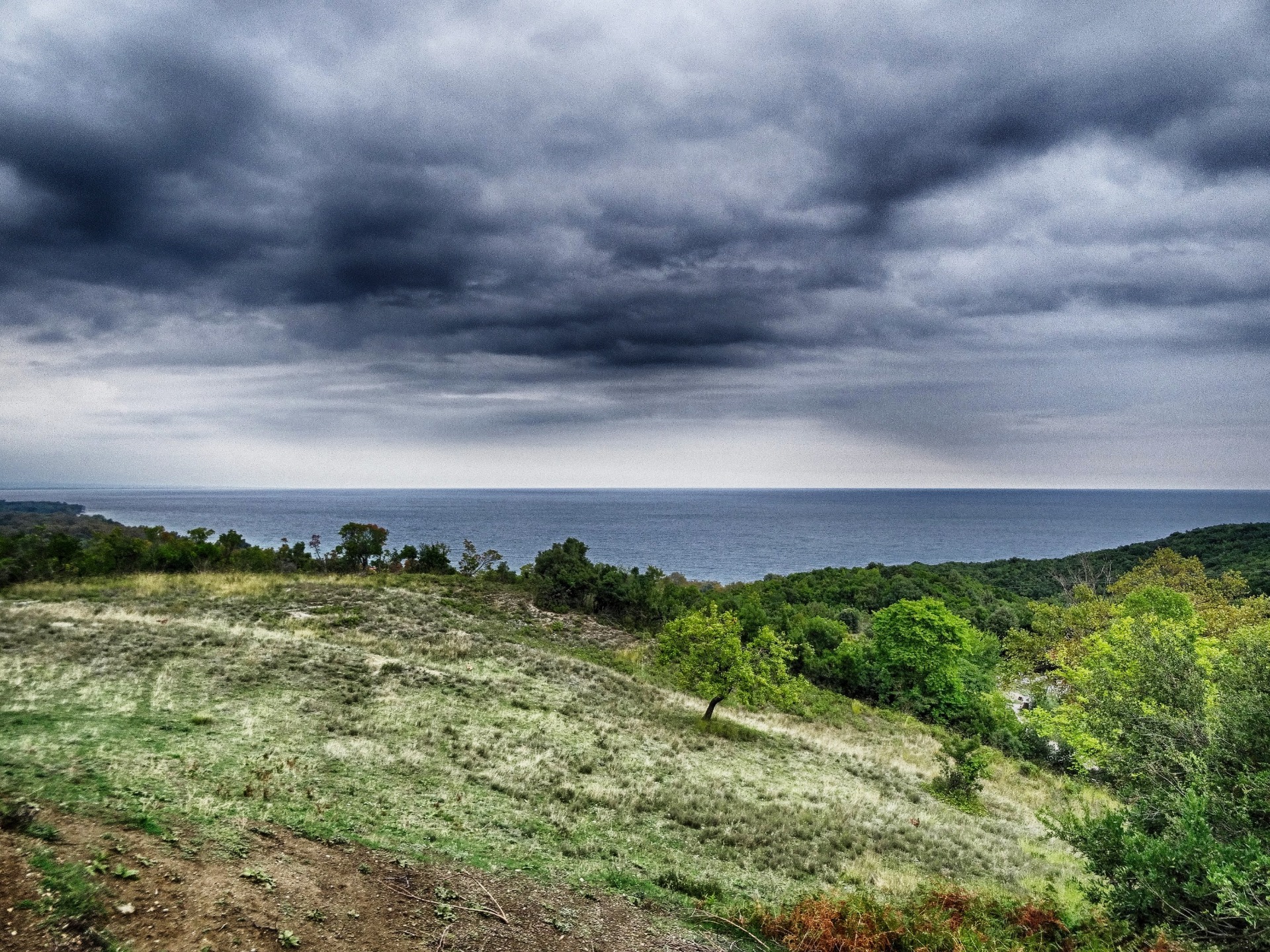 The mediterrean sea