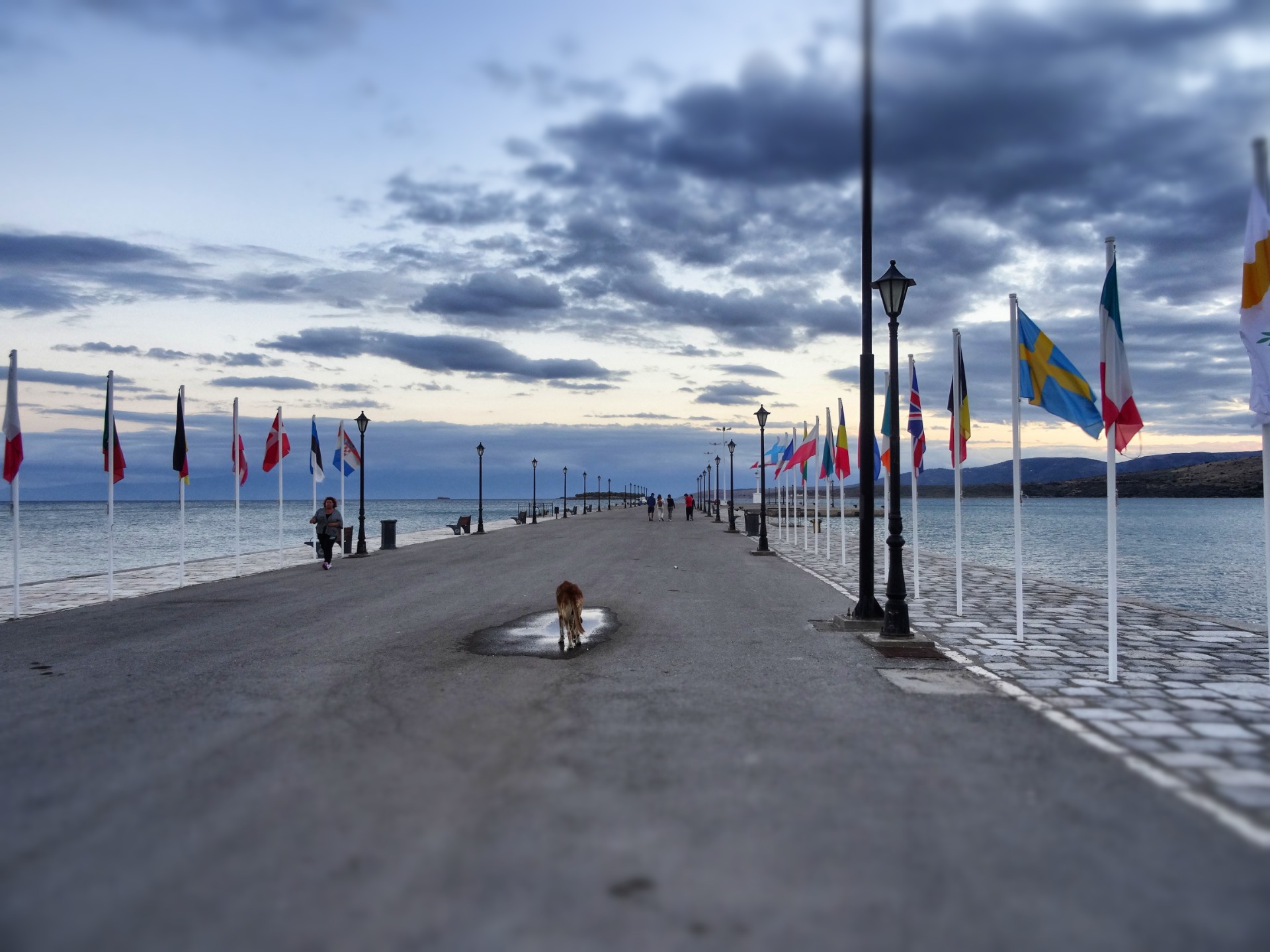 For every tourist one flag