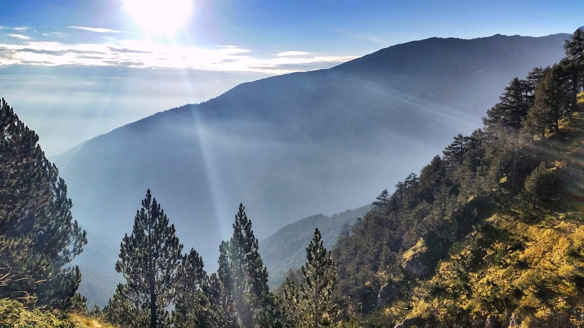 The sunlight is very special here