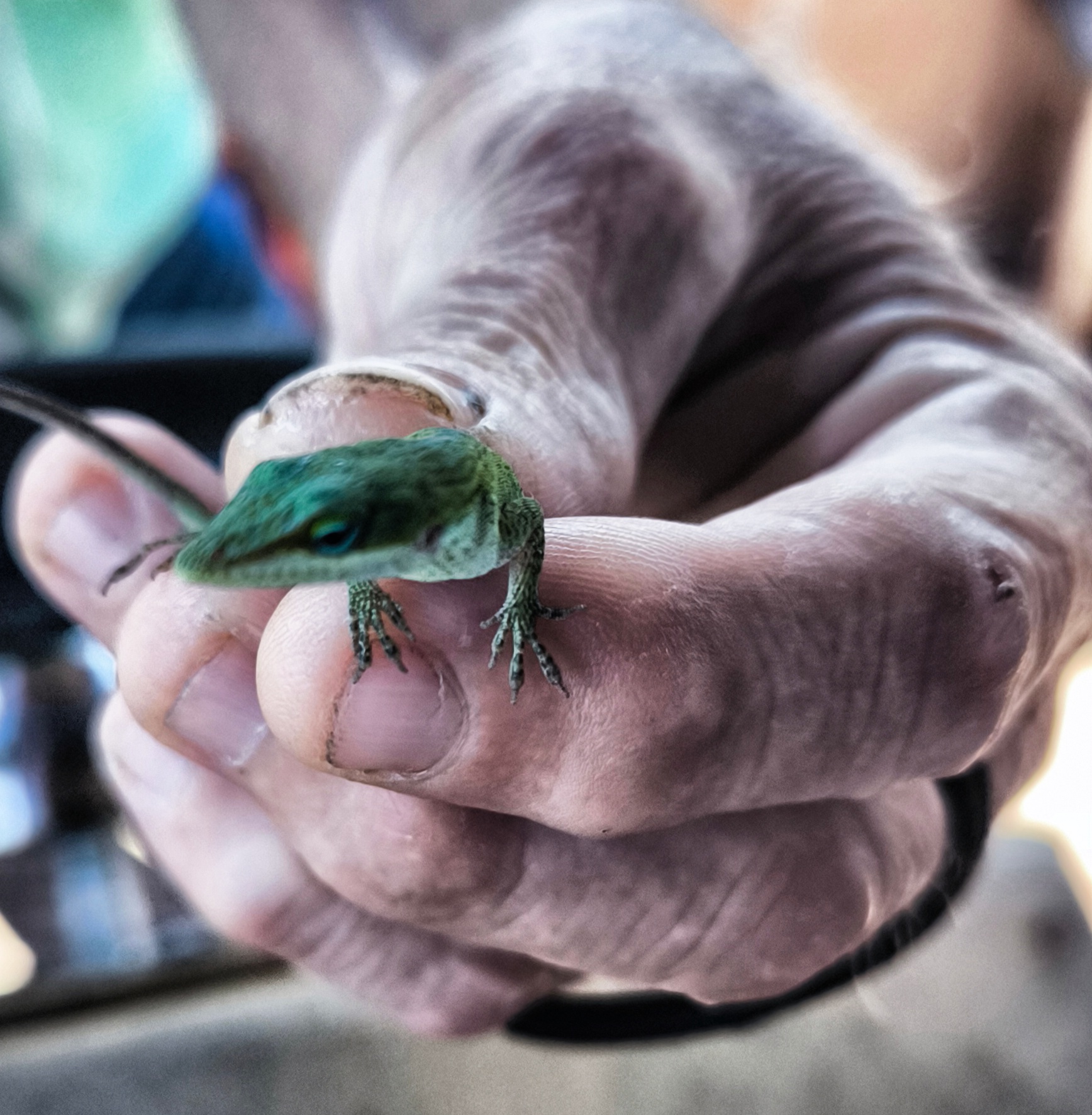 A small small one