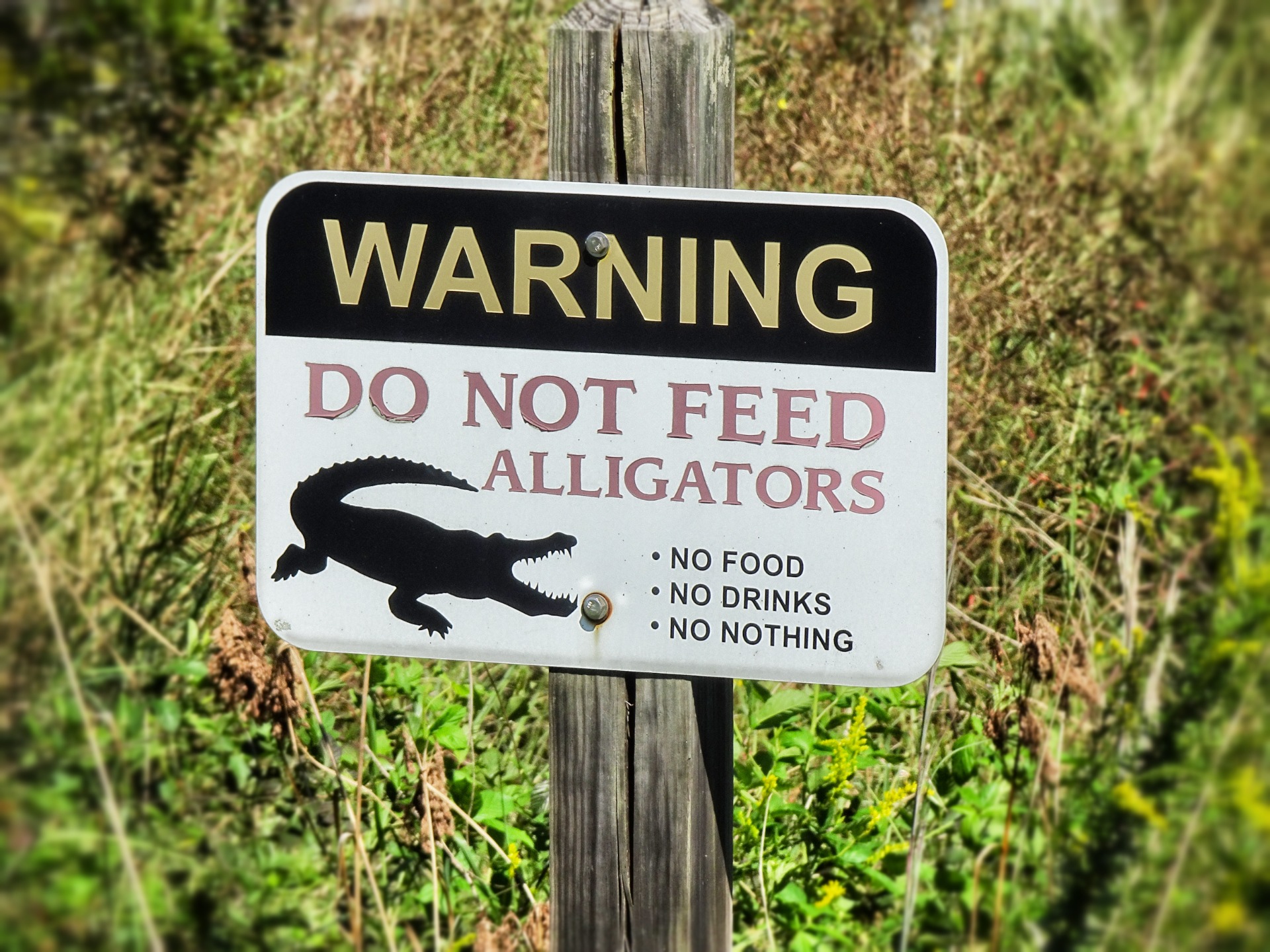 Better watch out