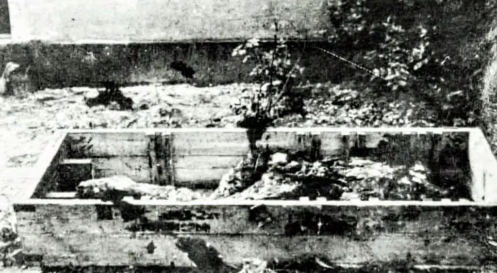 Hitlers remains, picture made by soviet soldiers