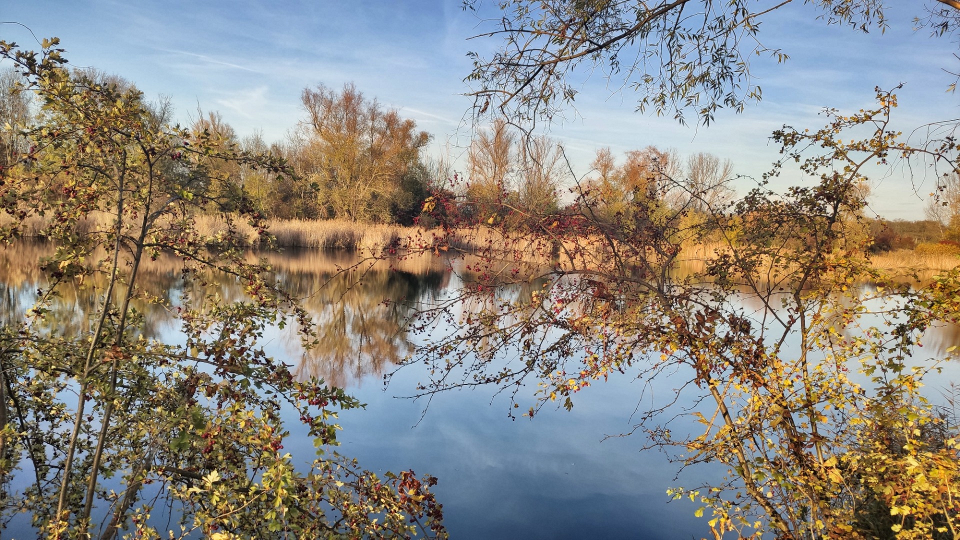 Nearby a lot of small lakes are home of beavers.