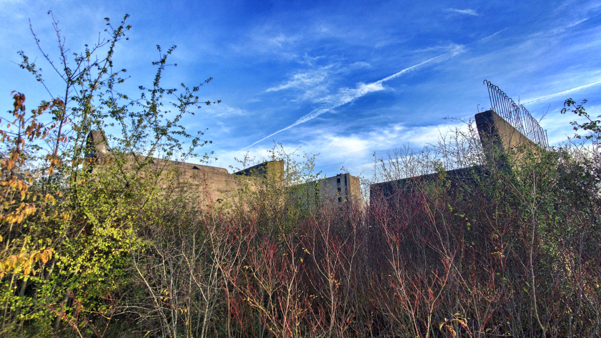 The sky makes the picture perfect.