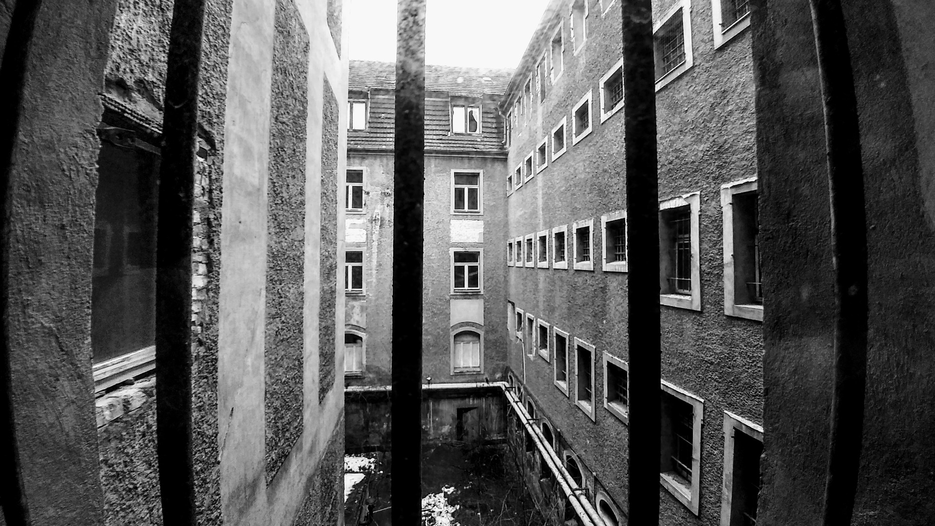 View into the grey backyard